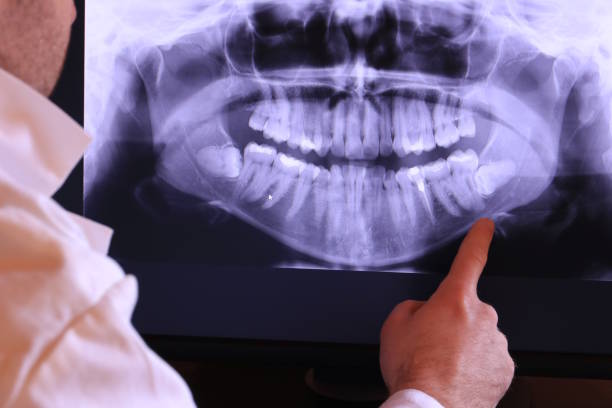 Best Emergency X-Rays and Diagnostics in Ellenville, NY